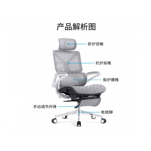 Office/Executives Chairs